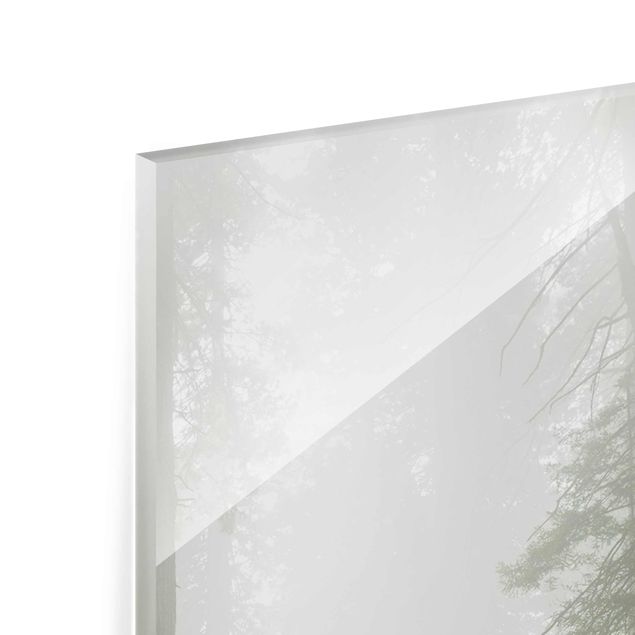 Quadro in vetro - Misty forest path - Pannello