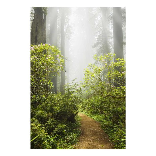 Quadro in vetro - Misty forest path - Verticale 2:3