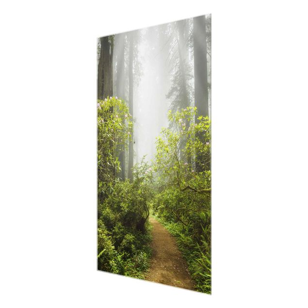 Quadro in vetro - Misty forest path - Verticale 2:3