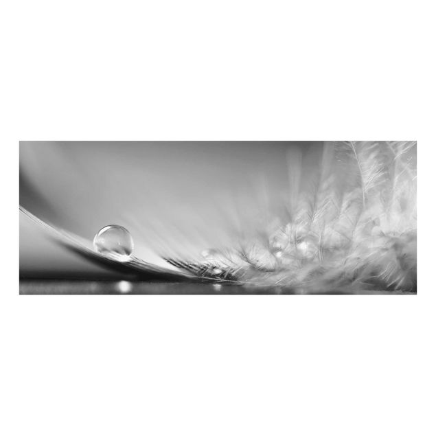 Quadro in vetro - Story of a Water Drop Black White - Panoramico