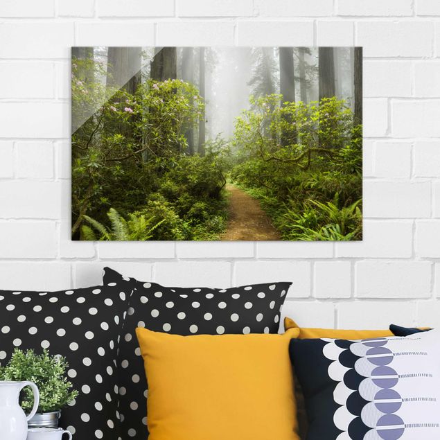 Quadro in vetro - Misty forest path - Orizzontale 3:2