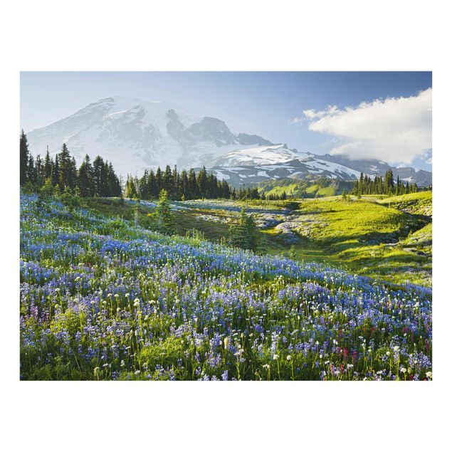 Quadro in vetro - Prato di montagna con fiori blu davanti al monte Rainier