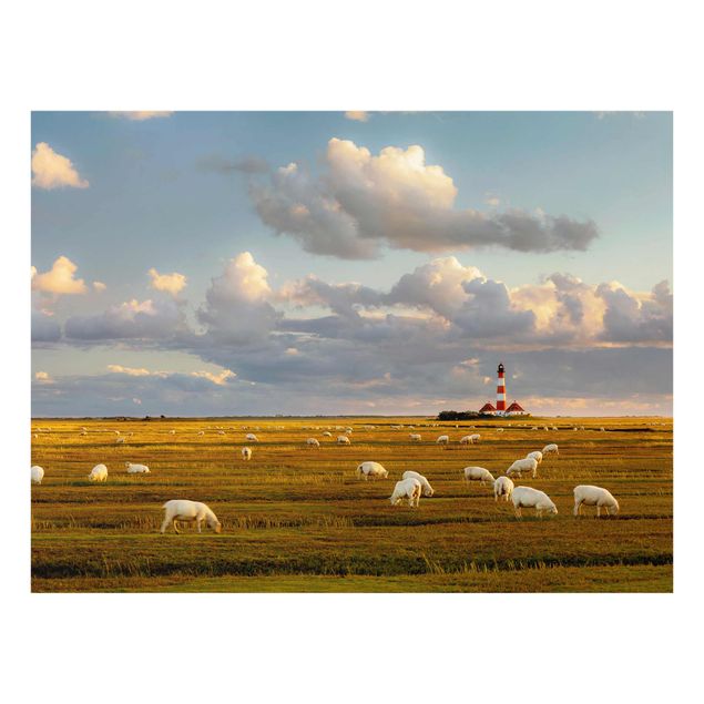 Quadro in vetro - North Sea lighthouse with sheep herd - Orizzontale 4:3