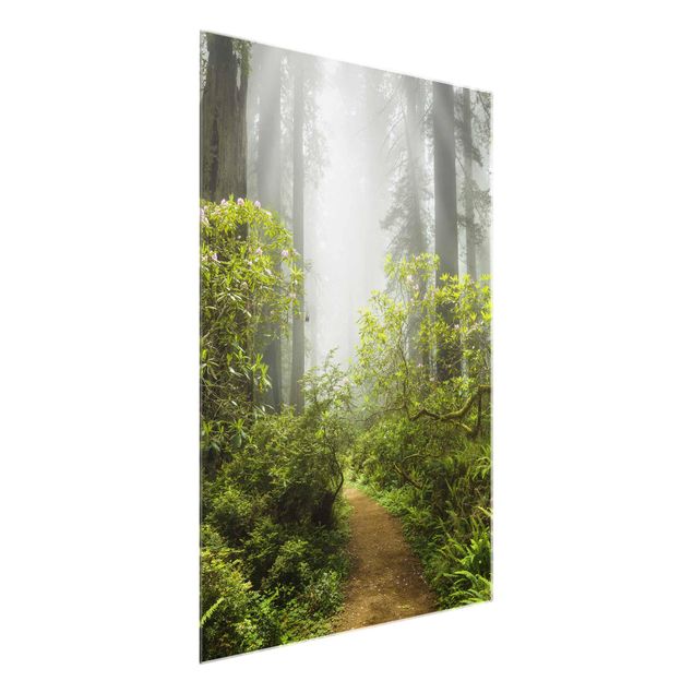 Quadro in vetro - Misty forest path - Verticale 3:4