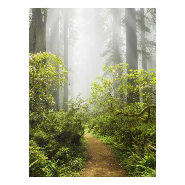 Quadro in vetro - Misty forest path - Verticale 3:4