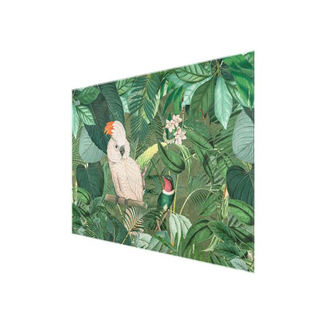 Quadro in vetro - Vintage Collage - Cockatoo E Hummingbird - Orizzontale 3:4