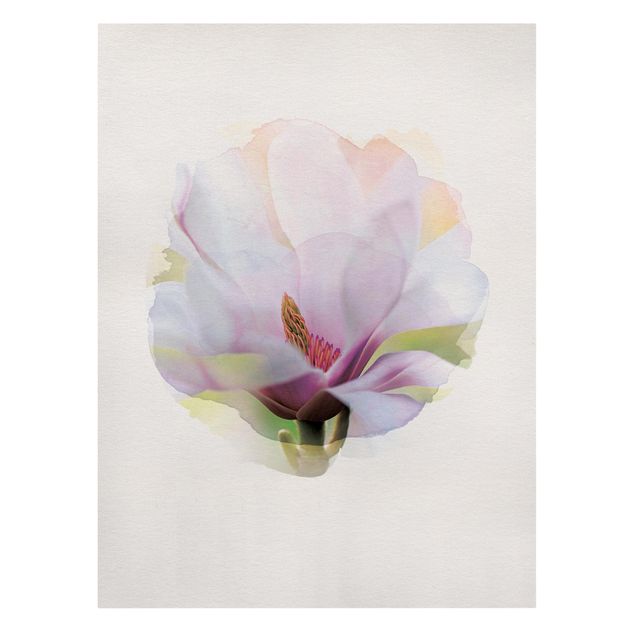 Quadri su tela - Acquarelli - Delicato Fiore di Magnolia