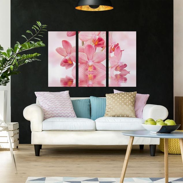 Quadri moderni per soggiorno Orchidea rosa chiaro sull'acqua