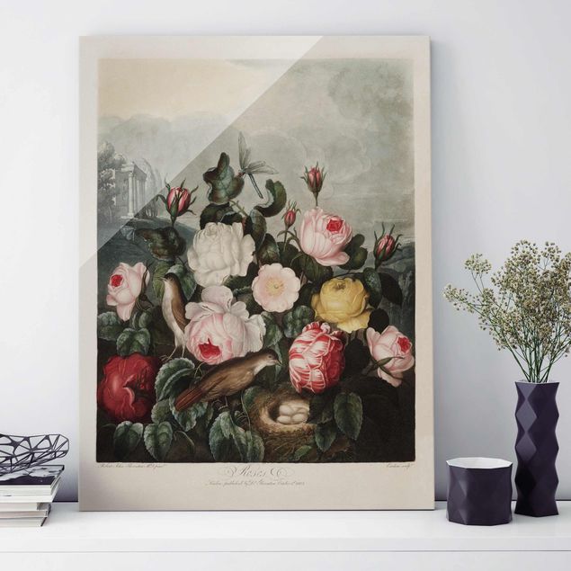 Lavagna magnetica vetro Illustrazione botanica vintage di rose