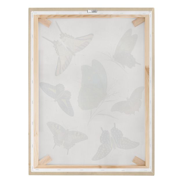 Stampa su tela - Illustrazione Vintage farfalle esotiche - Verticale 4:3