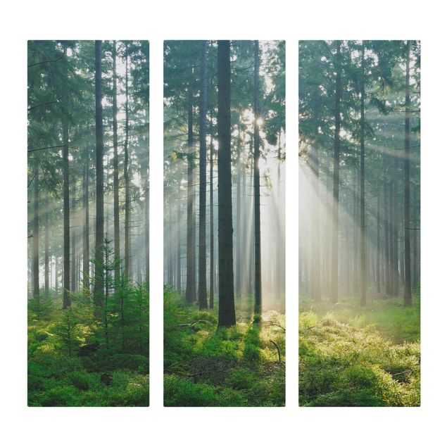 Stampa su tela 3 parti - Enlightened Forest - Pannello