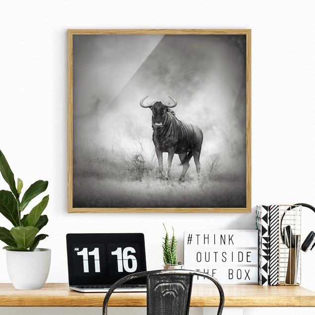 Poster con cornice - Staring Wildebeest - Quadrato 1:1
