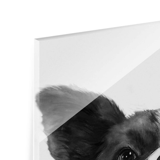 Quadro in vetro - Illustrazione pittura Cane Border Collie Bianco e nero - Quadrato 1:1