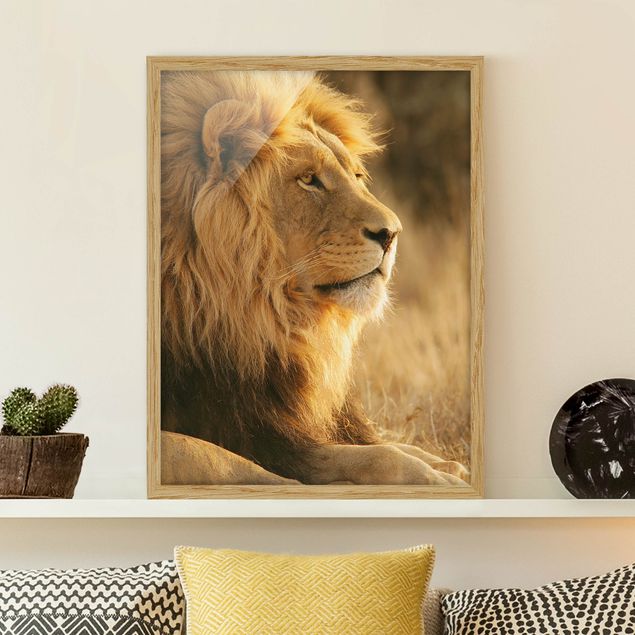 Quadri animali Lion King