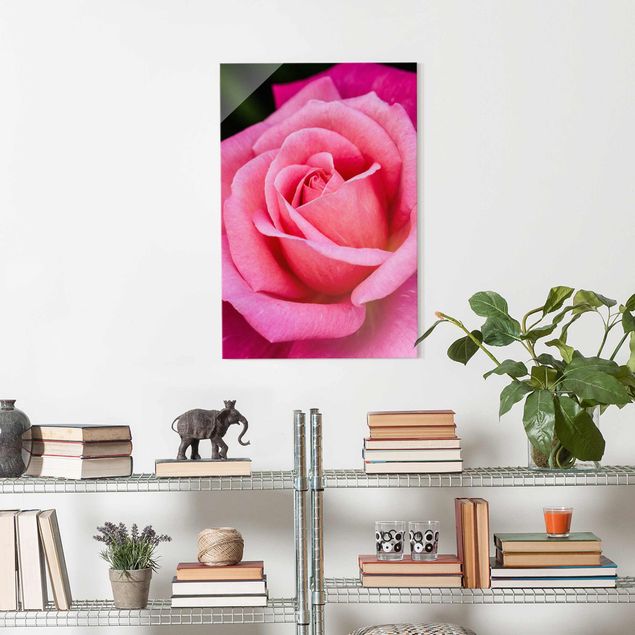 Quadro in vetro Pink Rose Bloom di fronte al verde verticale 3:4 su