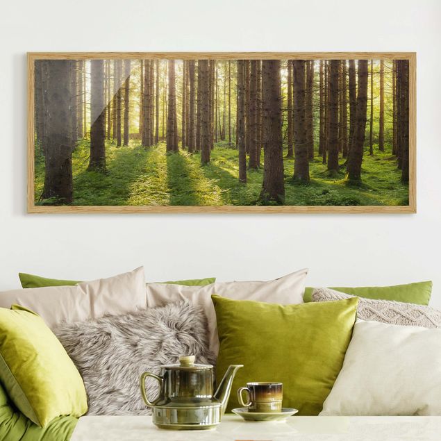 Poster con cornice - Raggi Di Sole Nella Foresta Verde - Panorama formato orizzontale