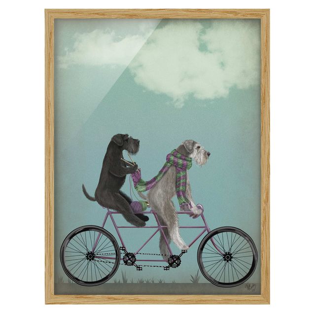 Poster con cornice - Ciclismo - Schnauzer Tandem - Verticale 4:3