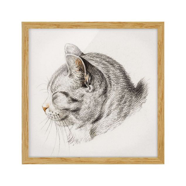 Poster con cornice - Vintage Disegno Cat III - Quadrato 1:1
