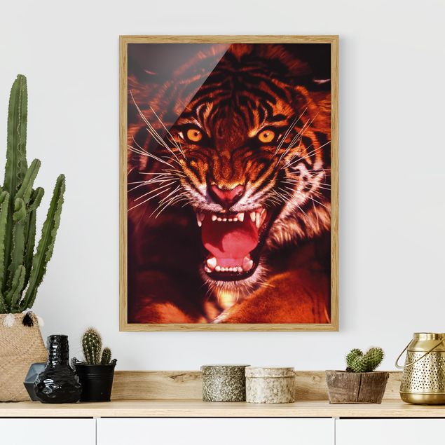 stampe animali Tigre selvaggia