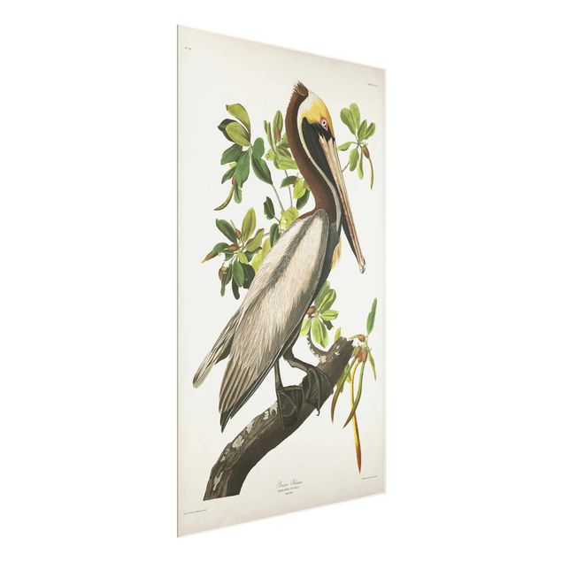 Quadro in vetro - Vintage Consiglio Brown Pelican - Verticale 3:2