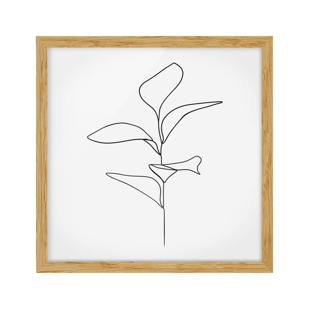 Poster con cornice - Line Art foglie delle piante Bianco e nero - Quadrato 1:1