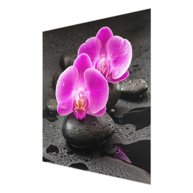 Quadro in vetro - Pink Orchid Fiori Sulle Pietre Con Le Gocce - Quadrato 1:1
