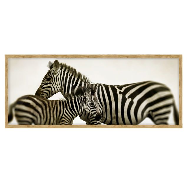 Poster con cornice - Paio Zebra - Panorama formato orizzontale