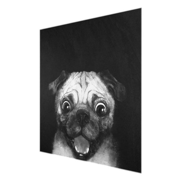Quadro in vetro - Illustrazione Pug Dog Pittura Su Bianco e nero - Quadrato 1:1