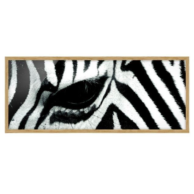Poster con cornice - Zebra - Panorama formato orizzontale