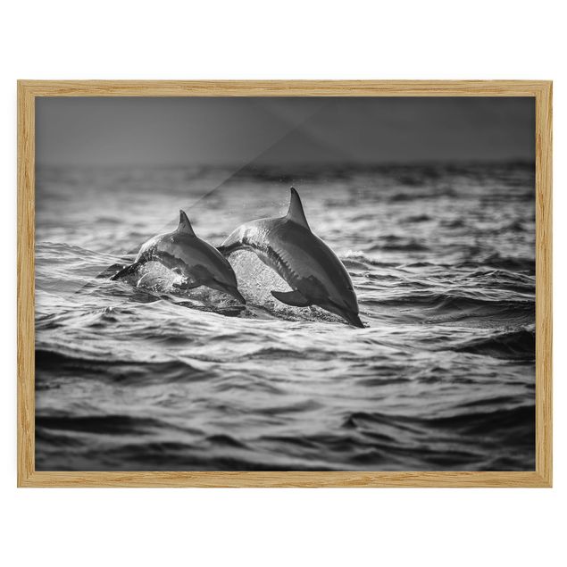 Poster con cornice - Due delfini che saltano - Orizzontale 3:4