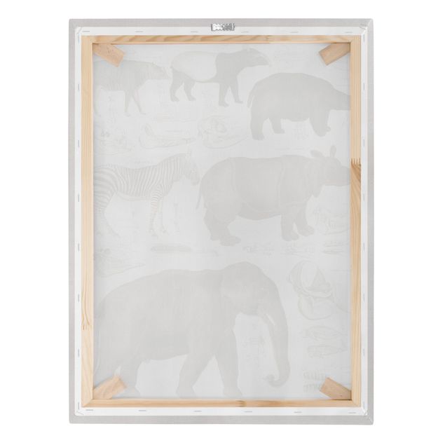 Quadri su tela Bacheca Vintage Elefante, zebra e rinoceronte