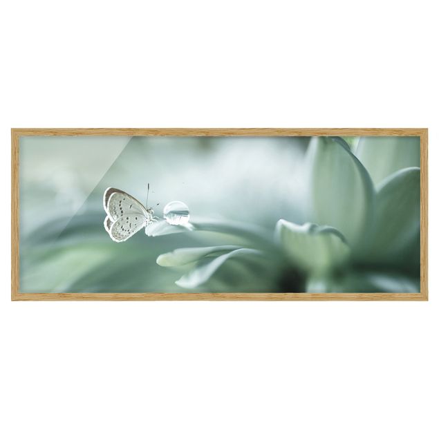 Poster con cornice - Farfalla E Gocce di rugiada In Pastel Verde - Panorama formato orizzontale