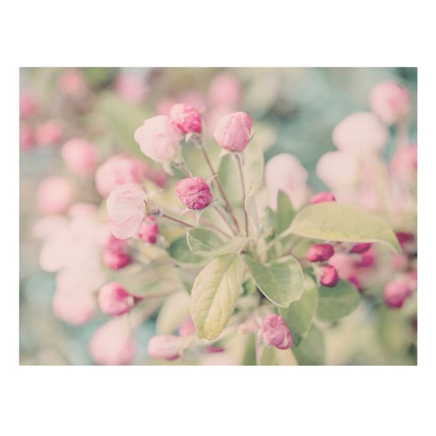 Stampa su tela - Apple Blossom rosa bokeh - Orizzontale 3:4