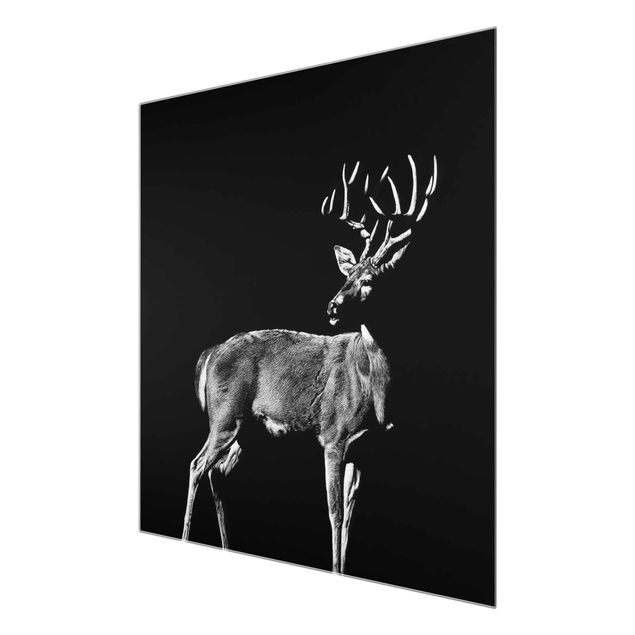 Quadro in vetro - Deer In The Dark - Quadrato 1:1