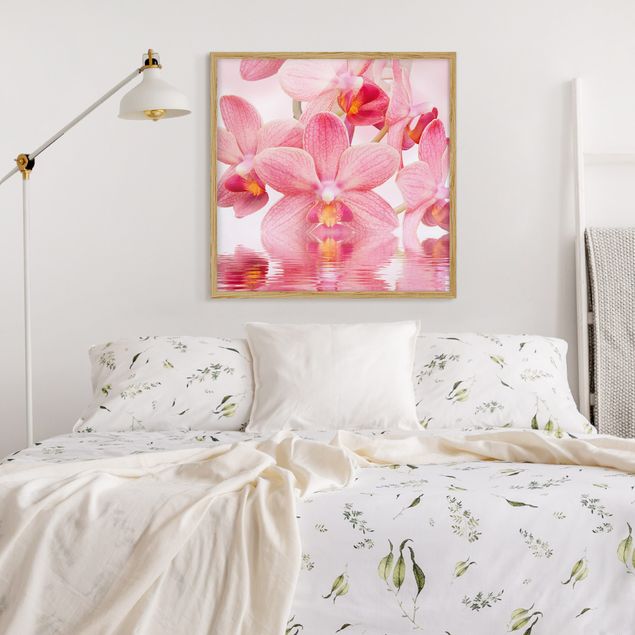 Poster con cornice - Pink Orchids On Water - Quadrato 1:1