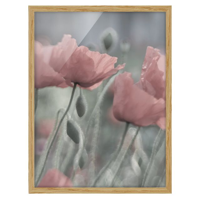 Poster con cornice - Picturesque Poppies - Verticale 4:3