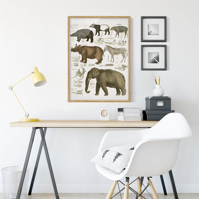 Poster con cornice - Vintage Consiglio elefanti, zebre e Rhino - Verticale 4:3