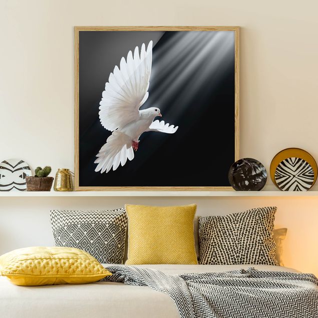 Poster con cornice - Holy Dove - Quadrato 1:1