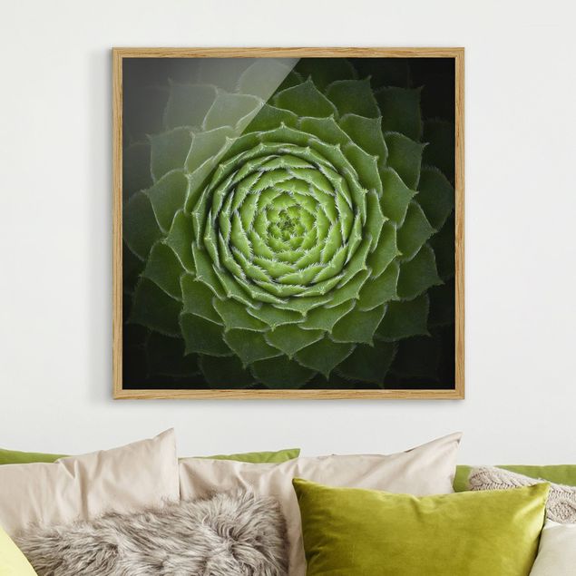 Poster con cornice - Mandala Succulente - Quadrato 1:1