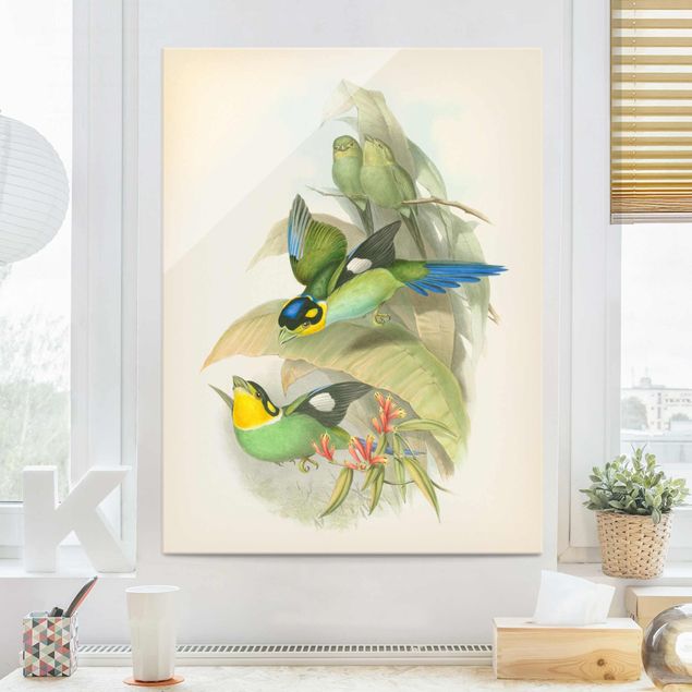 Quadri animali Illustrazione vintage Uccelli tropicali