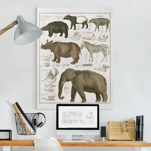 Quadri con elefanti Bacheca Vintage Elefante, zebra e rinoceronte