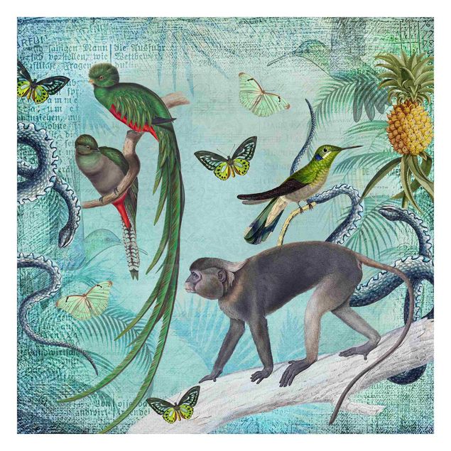 Carta da parati adesiva - Colonial Style Collage - Scimmiette e paradisee- Formato quadrato