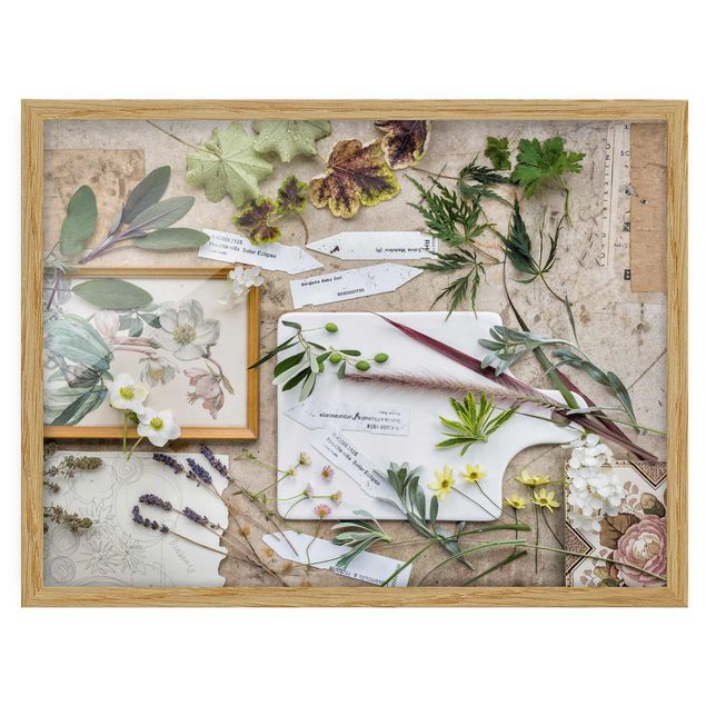 Poster con cornice - Flowers And Garden Herbs Vintage - Orizzontale 3:4