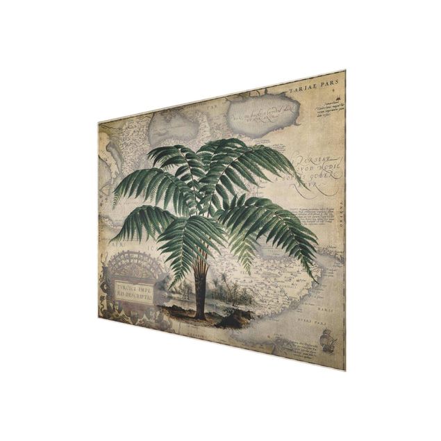 Quadro in vetro - Vintage Collage - Palm e mappa del mondo - Orizzontale 3:4