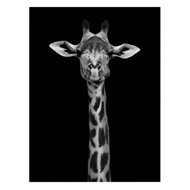 Quadri moderni per soggiorno Ritratto di giraffa scura