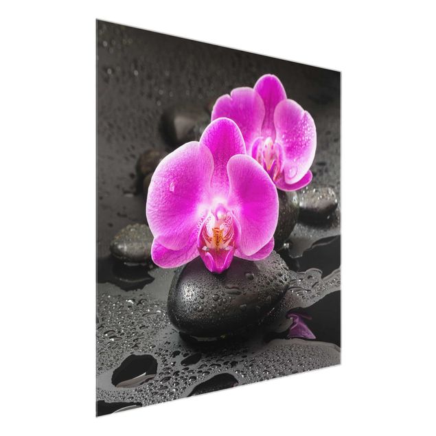 Quadro in vetro - Pink Orchid Fiori Sulle Pietre Con Le Gocce - Quadrato 1:1