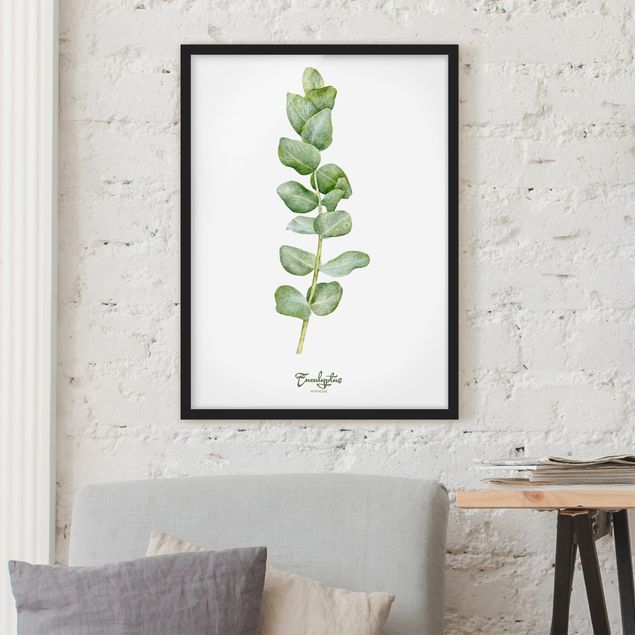 Poster con cornice - Watercolor Botany Eucalyptus - Verticale 4:3