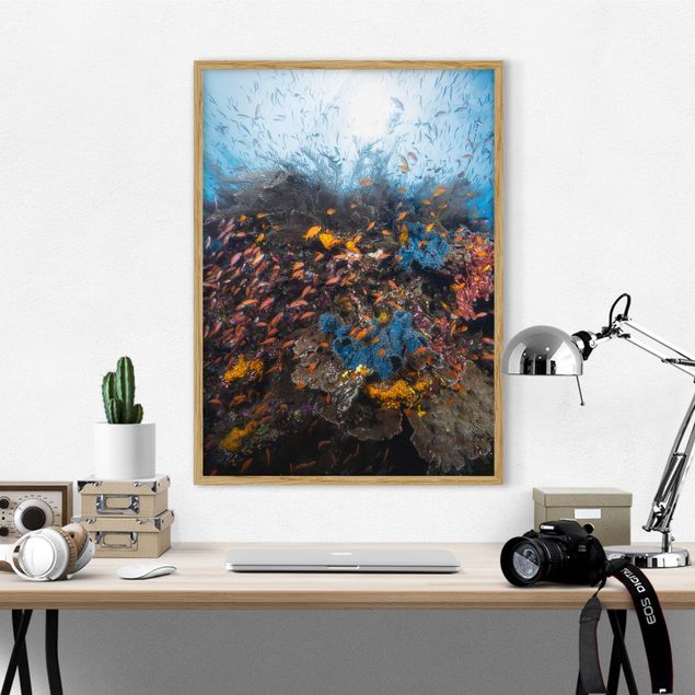 Poster con cornice - Lagoon With Fish - Verticale 4:3