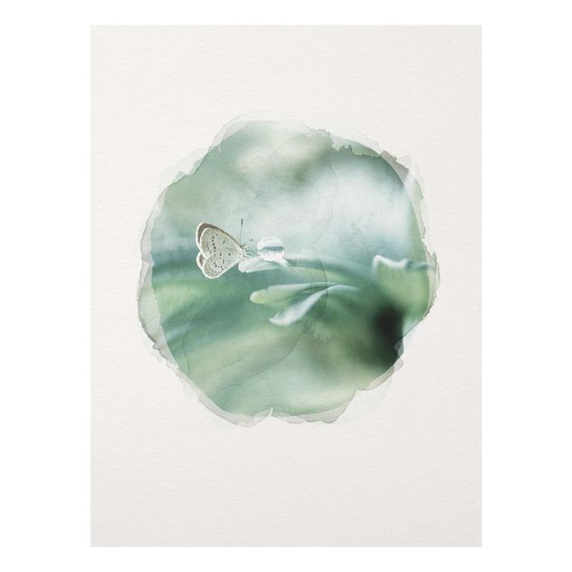 Quadro in vetro - Acquerelli - Farfalla E gocce di rugiada In Pastel Verde - Verticale 4:3