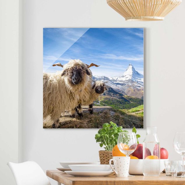 quadri con animali Pecore dal naso nero di Zermatt